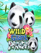 รีวิว ไพ่ คาสิโน ป๊อกเด้ง การเล่นที่เพลิดเพลินและเข้าใจง่าย