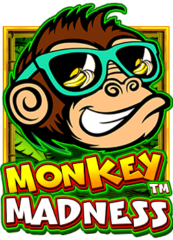 วิธีเล่น สล็อต โจ สำหรับมือใหม่ที่ต้องรู้